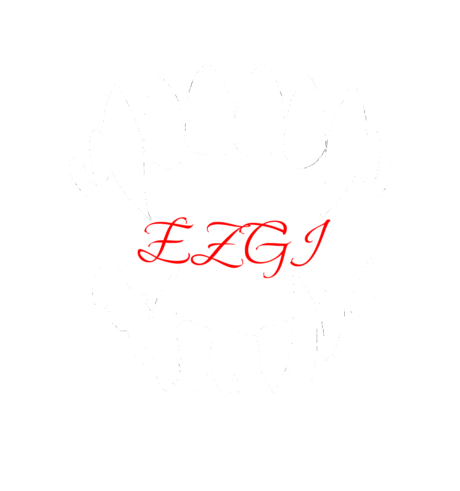 EzgiOfficial