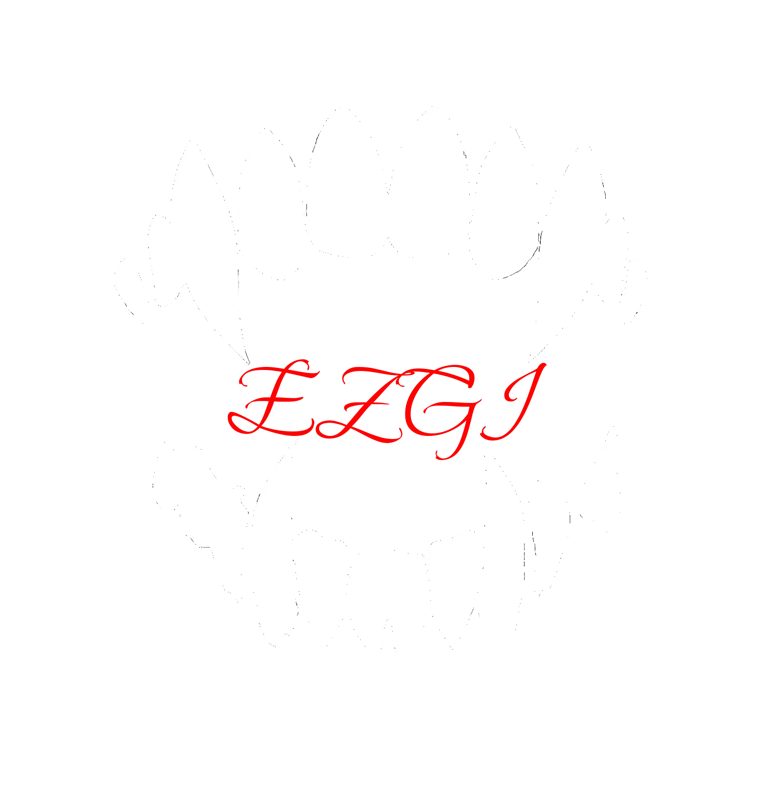 EzgiOfficial