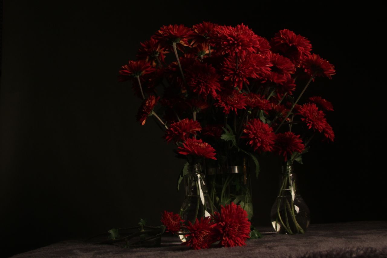 Beautiful bouquet of red chrysanthemums arranged in glass vases with dark background.
